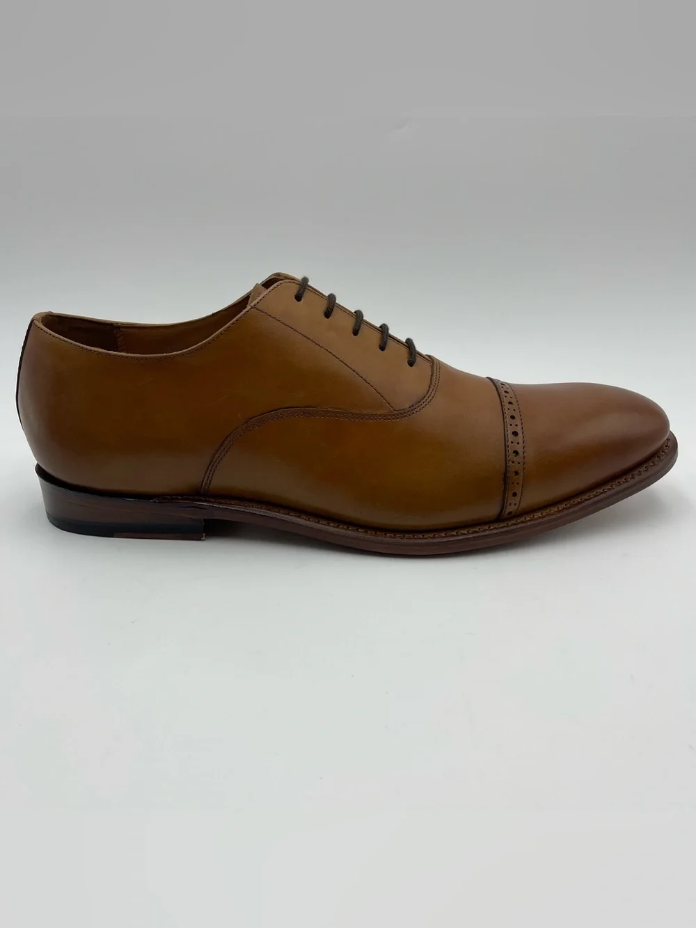 ALLEN EDMONDS SZ 14D Brady Walnut Leather Cap Toe Oxfords Shoes MSRP $450